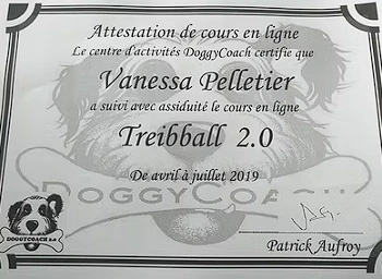 Badge Treibball 2.0