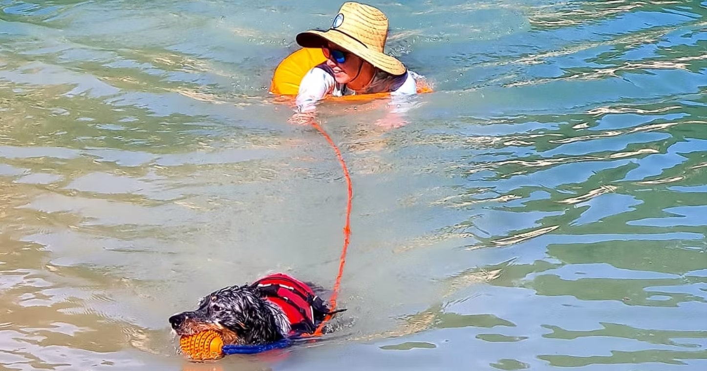 Le Sauvetage en Eau