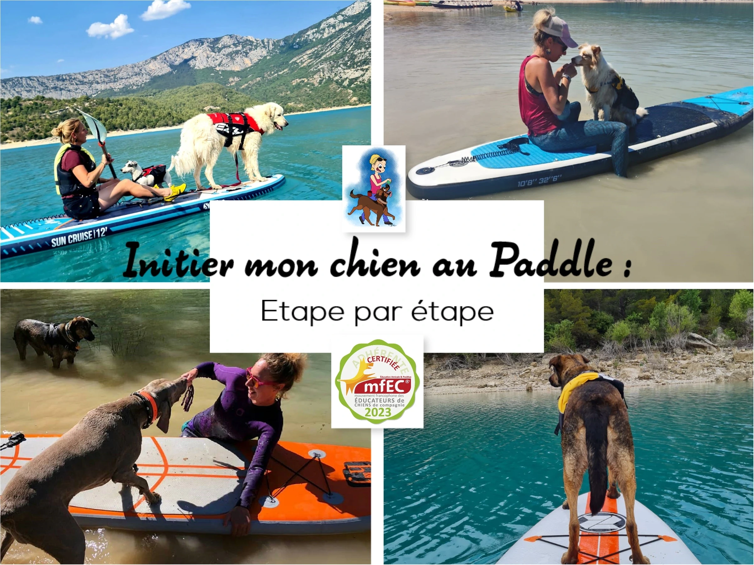Affiche de la formation paddle de 1vie2chiens