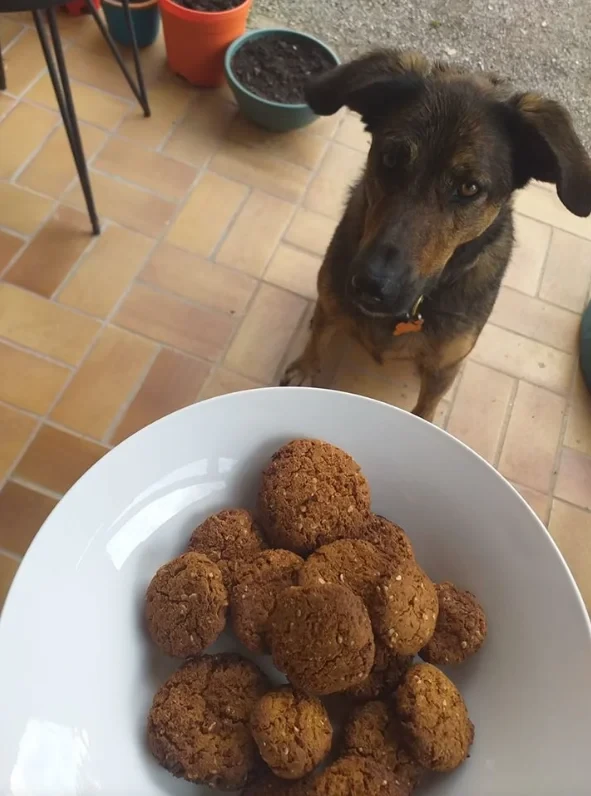 Sia in front of a plate of 'cookies'